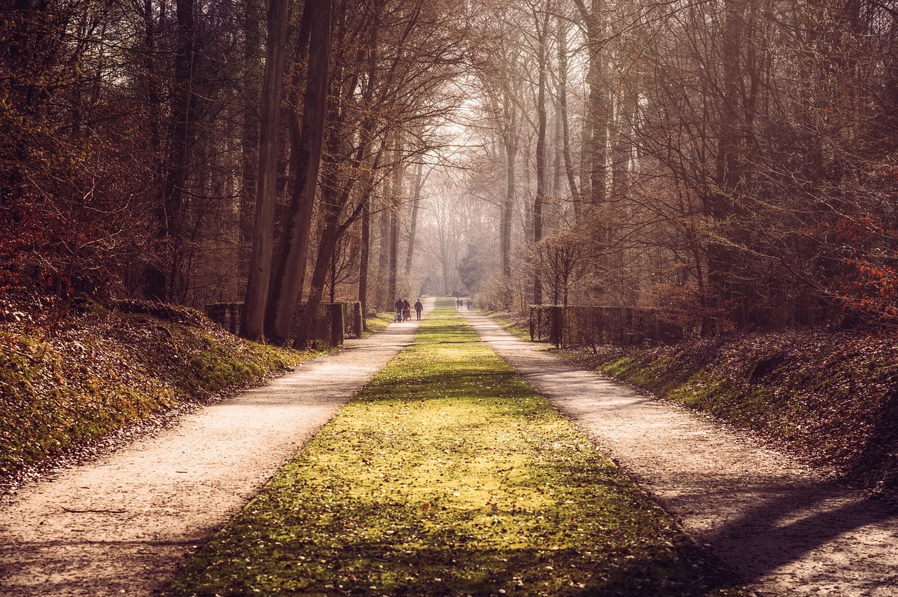 Wald 2 (c) Pixabay